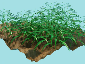 grass field 3D Model