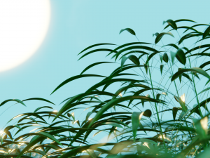 grass field 3D Model