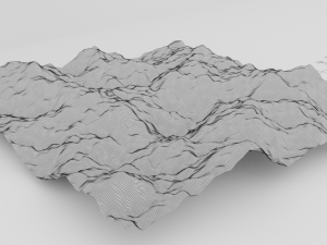 grass field 3D Model