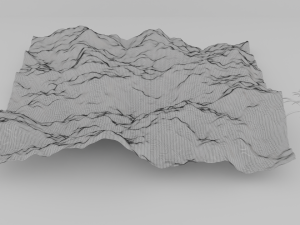 grass field 3D Model