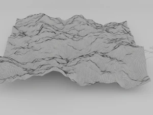 grass field 3D Model