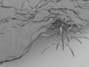 grass field 3D Model