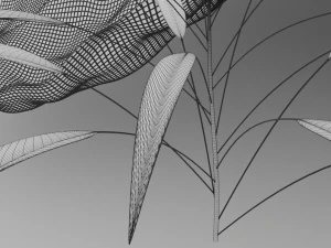 grass field 3D Model