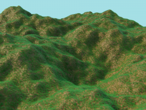 grass field 3D Model