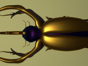 rhinoceros beetle 3D Modell