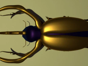rhinoceros beetle 3D Model