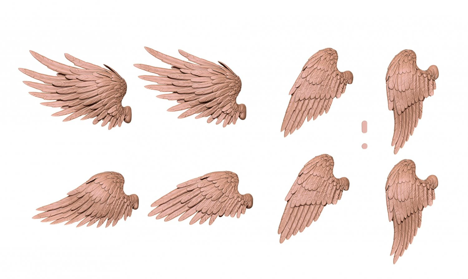 Feathered Wings Pack - Eagle - Hawk 3D print model 3D Print Model .c4d .max .obj .3ds .fbx .stl .blend 