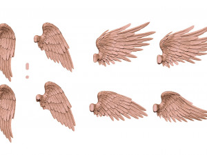 Feathered Wings Pack - Eagle - Hawk 3D print model 3D 프린트 모델