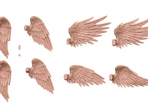 Feathered Wings Pack - Eagle - Hawk 3D print model 3D Print Model