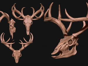 Cr&acirc;nio de veado Modelo de Impressão 3D