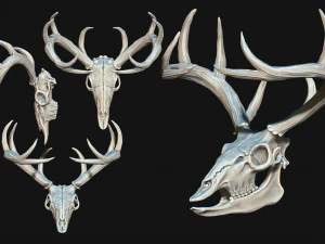Cr&acirc;nio de veado Modelo de Impressão 3D