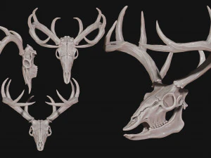 Cr&acirc;nio de veado Modelo de Impressão 3D