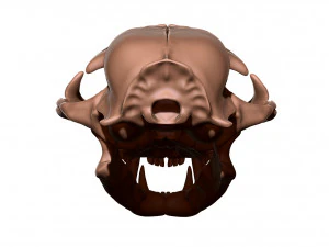 European Cat Skull 3D Print Model