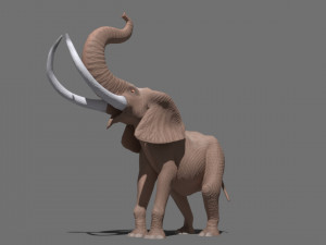 cartoon elephant 3D 모델