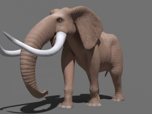 cartoon elephant 3D-Modell
