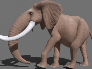 cartoon elephant 3D-Modell