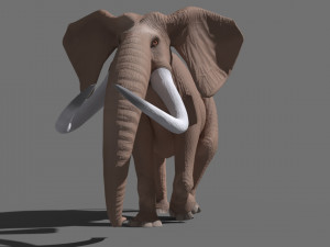 cartoon elephant 3D-Modell