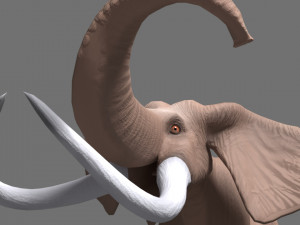 cartoon elephant 3D-Modell