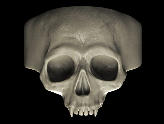 Vampire skull ring outlet