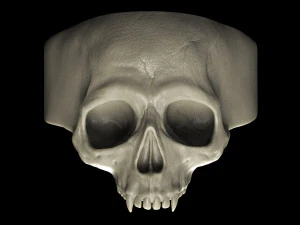 vampir kafatası y&uuml;z&uuml;ğ&uuml; 3D Baskı Modeli