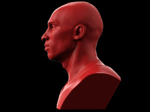 kobe bryant bust Modelo de Impressão 3D