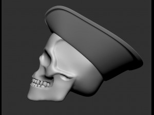 skull pirate Model Cetak 3D