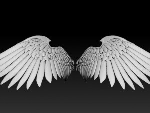 Free angel wings 3d model