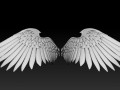 Angel wings 3D Model