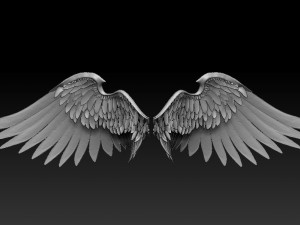 Angel wings Modello 3D