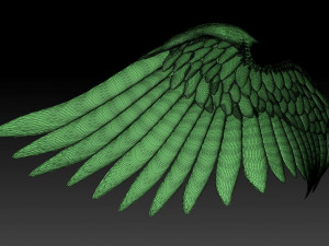 Angel wings Modello 3D