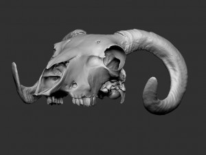 ram skull 3D 打印模型