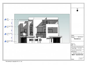 modern villa in revit 2017 3D 모델