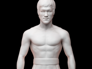 bruce lee 3D-printmodel