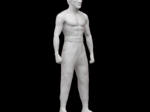 Bruce Lee Modello di stampa 3D