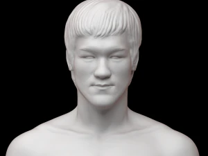 Bruce Lee Modello di stampa 3D