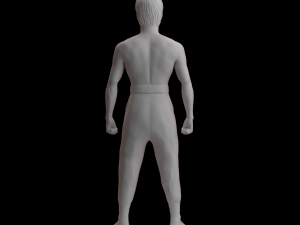 bruce lee 3D-printmodel