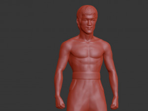 bruce lee 3D-printmodel
