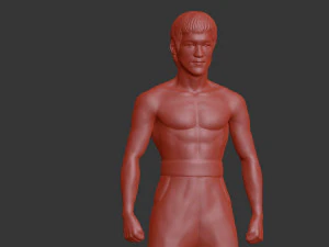Bruce Lee Modello di stampa 3D