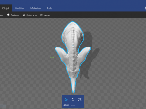 dragon 3D 模型