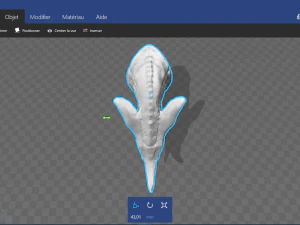 dragon 3D Model