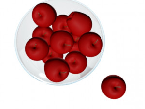 apple 3D Model