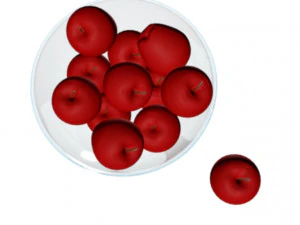 apple 3D Model