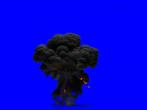 fumefx explosion 3D Model