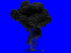 fumefx explosion 3D Model
