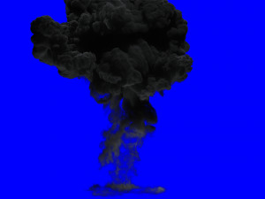 fumefx explosion 3D Model