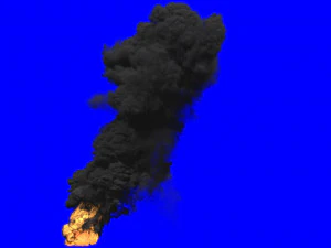 fumefx 大规模烟雾和火灾 3D 模型