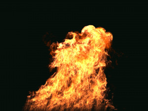 fumefx large scale fire 3D Model