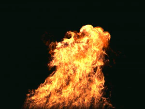 Fumefx 大规模火灾 3D 模型