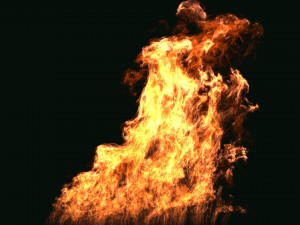fumefx large scale fire Modello 3D