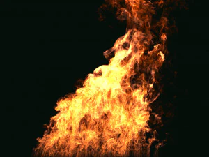fumefx large scale fire 3D Model